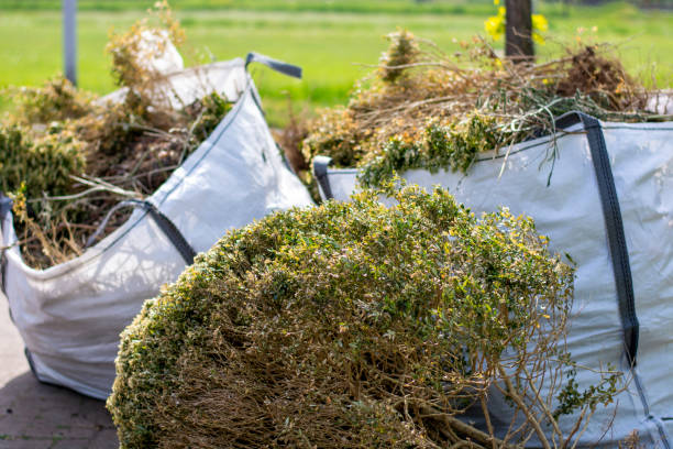 Debris Removal in Mccamey, TX
